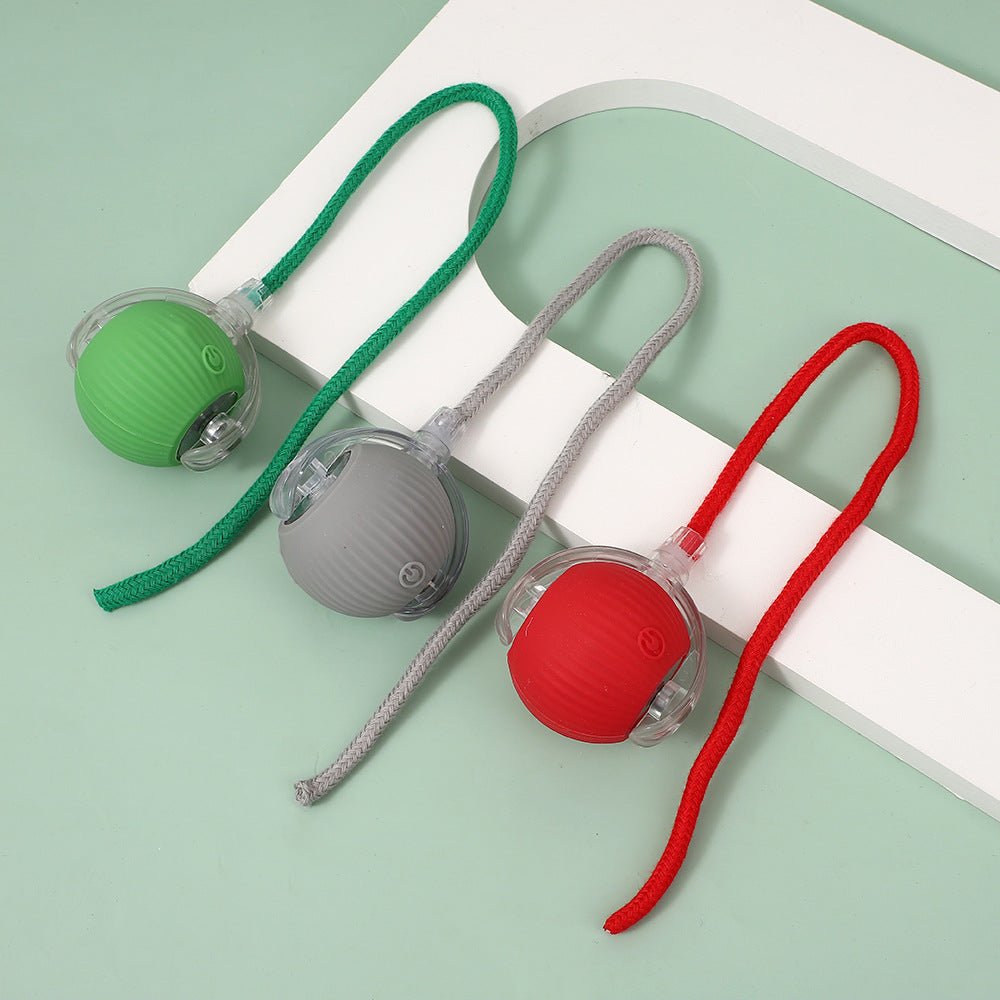 Automatic Electric Dog Toy Ball