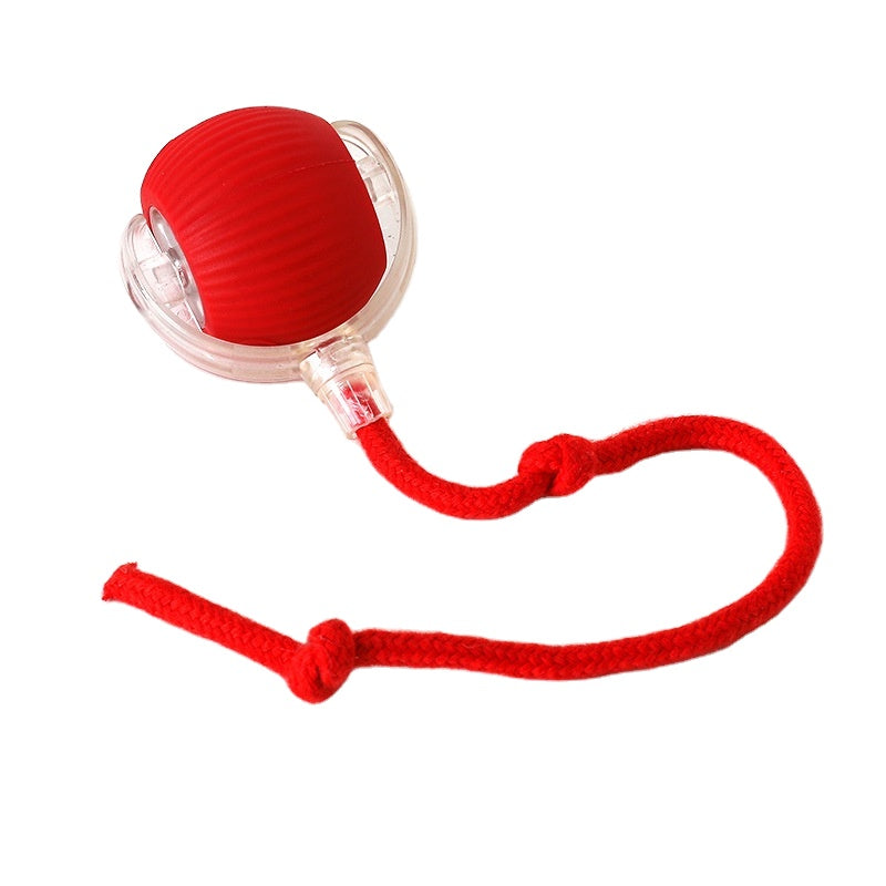 Automatic Electric Dog Toy Ball